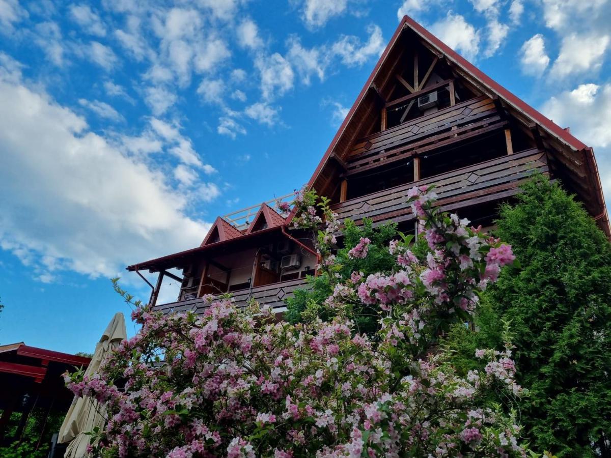 Hotel Casa Luca Vama Veche Zewnętrze zdjęcie