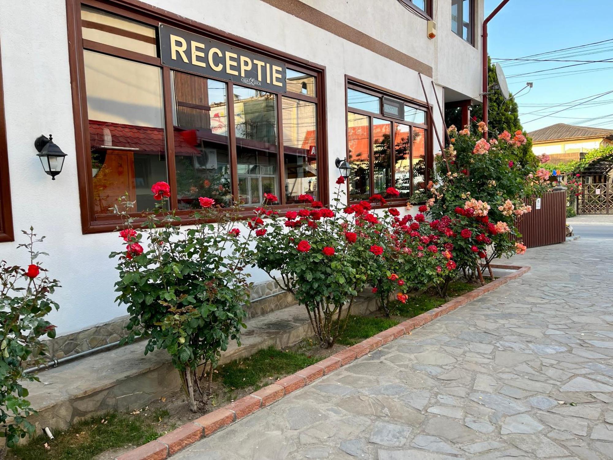 Hotel Casa Luca Vama Veche Zewnętrze zdjęcie