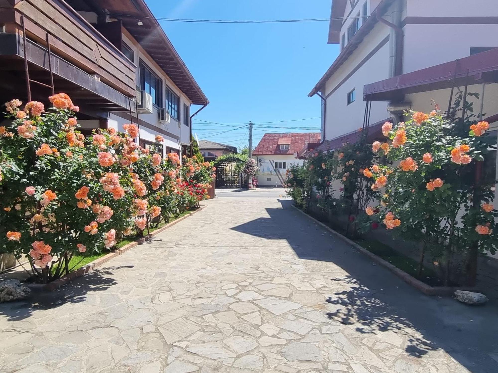Hotel Casa Luca Vama Veche Zewnętrze zdjęcie