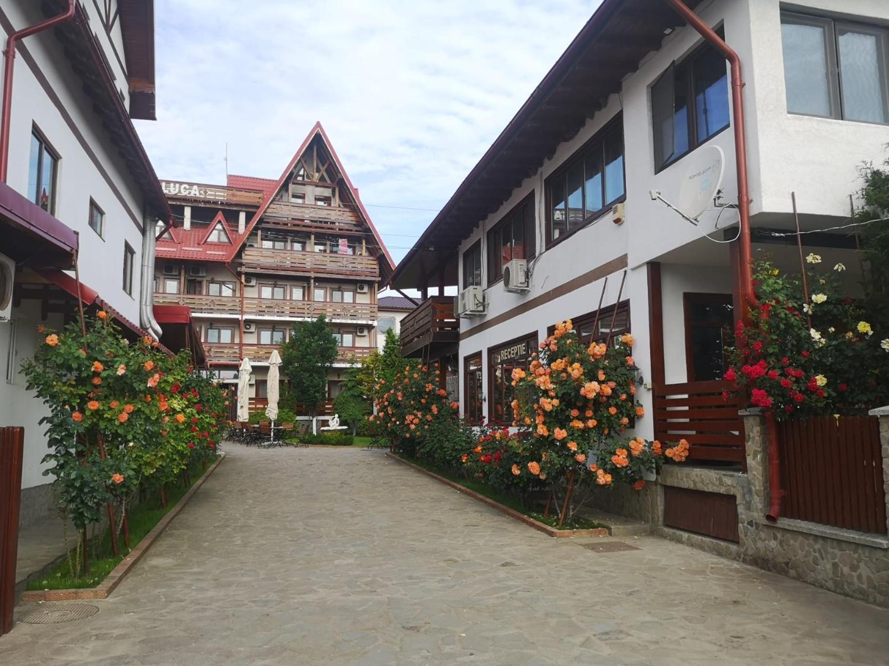 Hotel Casa Luca Vama Veche Zewnętrze zdjęcie