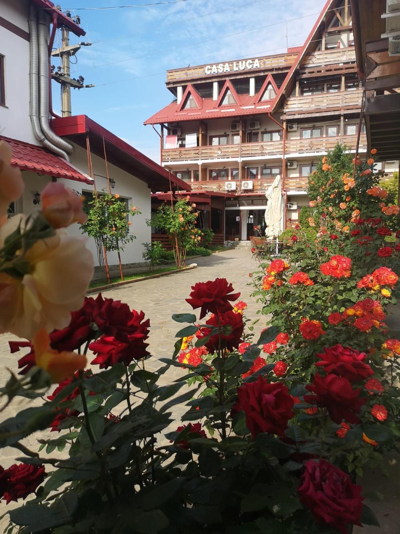 Hotel Casa Luca Vama Veche Zewnętrze zdjęcie